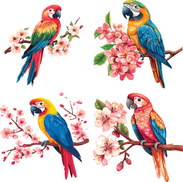 Parrot with charry blossom flower vector style on white background