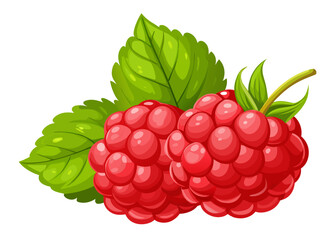 Two ripe red raspberries with green leaves isolated on white background