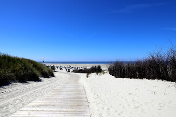 Obraz premium Wag zum Sandstrand