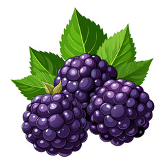 Three Juicy Blackberries with Fresh Green Leaves