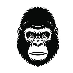 Obraz premium Gorilla face in bold alpha male expression with deep-set eyes and strong features in black and white vector illustration style