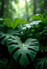 lush tropical foliage water droplets nature greenery oasis vibrant exotic jungle plants leaves serenity, flora, canopy, landscape, vegetation, harmony, light