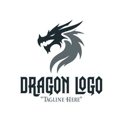 Obraz premium Symbolic Iron Dragon Logo in Metallic Tones for Dynamic Fantasy and Brand Identity 