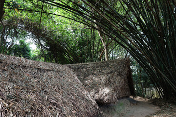 Bamboo huts hidden in the jungle