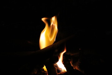 photo of fire on a wood fire