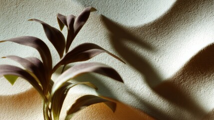 Artistic Plant Shadows on Textured Neutral Wall