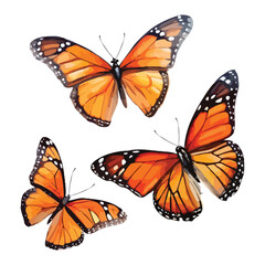 Three monarch butterflies in flight isolated on transparent background