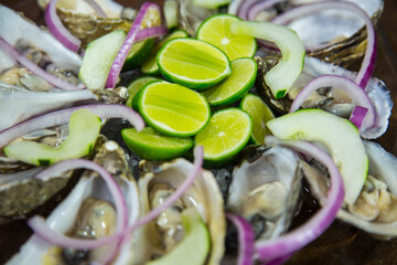 OSTRAS OSTINES SEA FOOD MARISCOS FRESCOS EN LA CONCHA