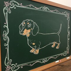 Chalkboard Illustration of a Dachshund Dog