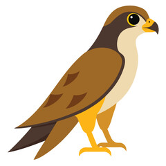 falco pet  on white background
