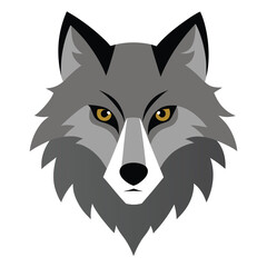 WOLF head  on white background 