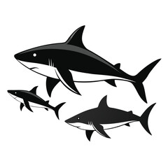 A clean, graphic illustration featuring the silhouettes of three oceanic whitetip sharks against a stark white background. The sharks are depicted in black, with subtle white highlights along their fi