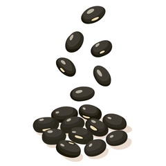 Black bean seeds fall and pile up on the floor, isolated on white background.