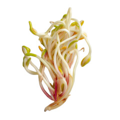 Bunch of sprouts are shown on a white background