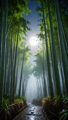 Walking Path Through Bamboo Forest with Full Moon at Night