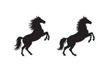 Horse silhouettes rearing up on white background