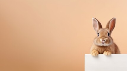 Obraz premium cute animal pet rabbit or bunny brown color smiling and laughing isolated with copy space for easter background, rabbit, animal, pet, cute, fur, ear, mammal, background, celebration, generate by AI