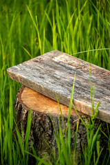 Old rustic wooden board on a tree stump in tall green grass. Natural outdoor setting with empty space on the wood for text or product display. Ideal background for eco-friendly branding or organic pro