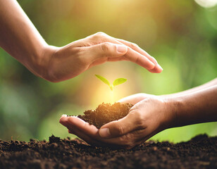 A stylized image of hands forming a protective arch over a small, glowing seed, symbolizing nurturing patient potential.
