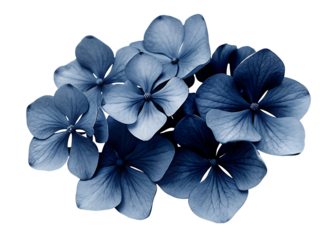   dark blue flowers isolated on white background PNG, AI GENERATED