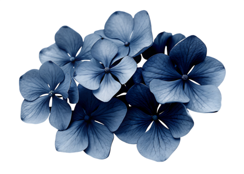   dark blue flowers isolated on white background PNG, AI GENERATED