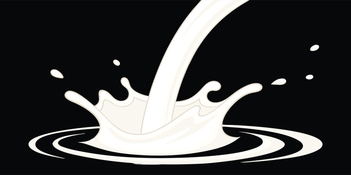Pouring milk splash vector on black background. White cream or dairy liquid crown illustration. Graphic element for beverage advertising, packaging design, and modern food logo concepts.