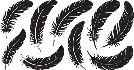 Obraz premium Feather Silhouette Vector Set – Black Bird Feather Illustrations for Nature, Flight, and Decorative Design