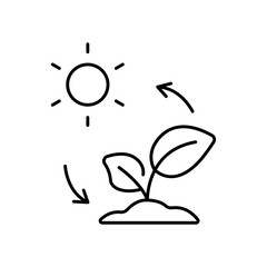Photosynthesis Plant Energy Process Line Icon