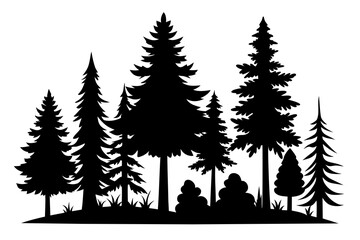 Obraz premium vector silhouette of various pine and fir trees isolated on white background