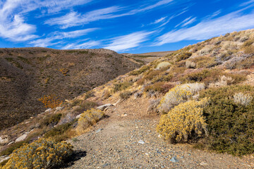 Hiking trail winding through Yosemite National Park under a beautiful sky