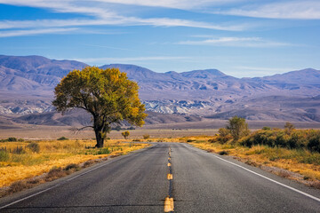 Empty asphalt road crossing California desert landscape in autumn