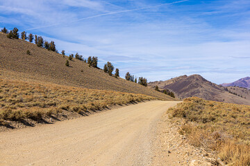 Dirt road winding through Ancient Bristlecone Pine Forest in California