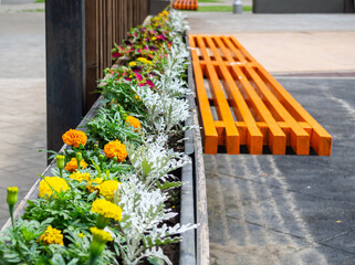 Flower flowerbed combined with a bench for relaxation. (Shallow depth of field)