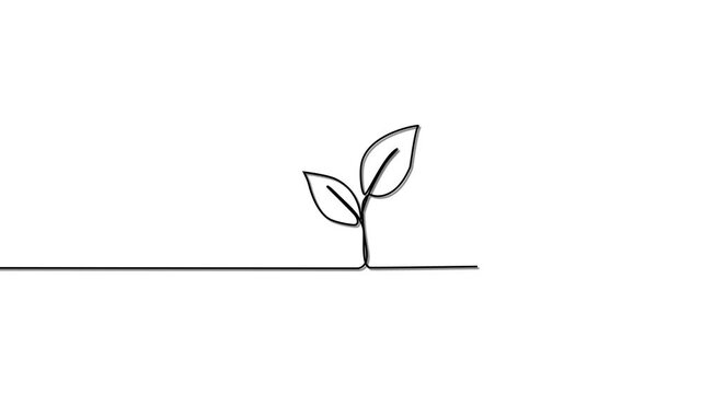Leaves continuous line drawing animated video. Plant branch one line art.