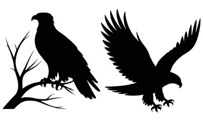 Silhouette of two eagles one perched one in flight