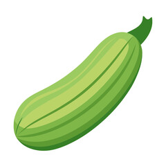 A vibrant green zucchini vegetable isolated on a white background