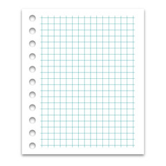 Blank sheet in a cage, page for a notebook.
