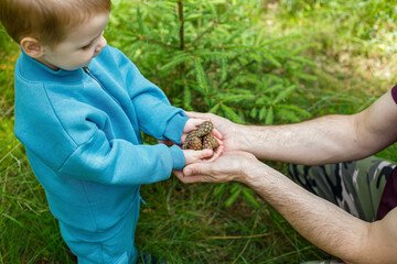 The boy shows the pine cones collected in the forest to his dad. Childhood moments. Nature.