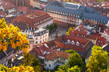 Aerial View of Historic Heidelberg Rooftops and Market Square