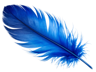  Single Curved Indigo Blue Feather with Watercolor Texture