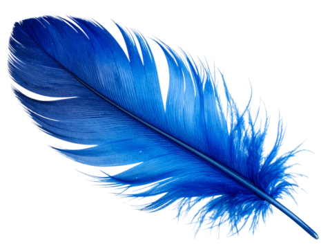  Single Curved Indigo Blue Feather with Watercolor Texture