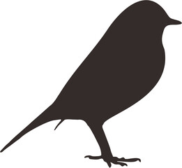 bird4.eps
