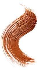 a single flowing organic brush stroke in warm terracotta