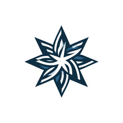 Obraz premium Abstract geometric star design with intricate patterns, suitable for modern branding or decor