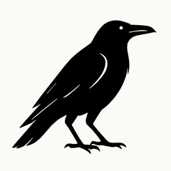Fototapeta premium Standing crow silhouette vector, sharp beak bird graphic, mysterious gothic icon, minimal crow art, sleek feather shape, dark nature emblem, elegant wild bird design, modern vector illustration.