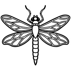 Detailed outline of a dragonfly with intricate wing patterns silhouette