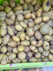 Freshly Harvested Potatoes in Green Container with Soil Residue