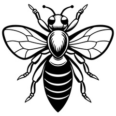 Fototapeta premium Detailed black and white stylized bee illustration silhouette