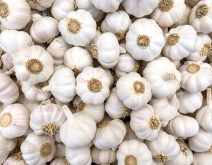 Flatlay closeup of pile of white garlic heads as background.