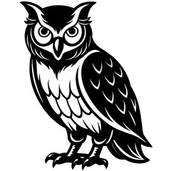Obraz premium Detailed black and white owl illustration with fierce eyes and feather detail silhouette